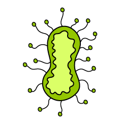 触手のあるばい菌