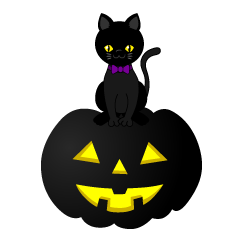 夜のハロウィンの黒猫