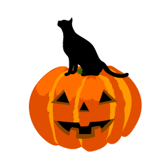 ハロウィンの見上げる黒猫