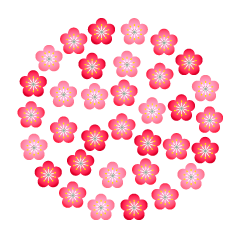 円形の梅の花