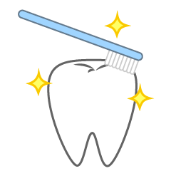 歯ブラシでピカピカの歯