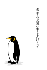 皇帝ペンギンの寒中見舞い