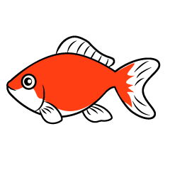 金魚