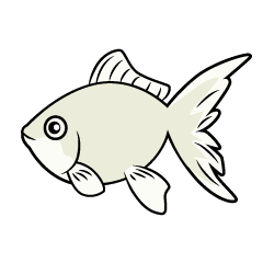 白色の金魚