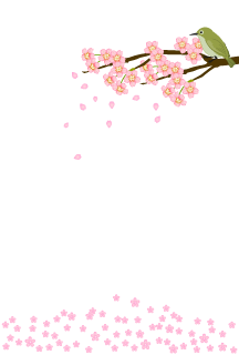 桜とウグイスのメッセージカード