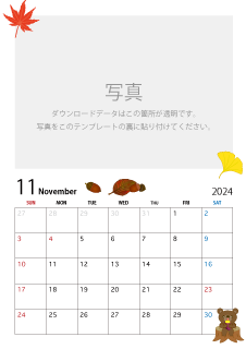 写真入り2024年11月カレンダー