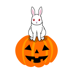 ハロウィンカボチャと白うさぎ