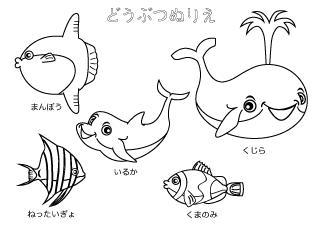 海の生き物ぬりえ