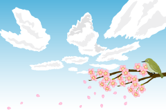 桜の花と春の空