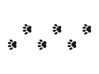 犬の足跡ライン線