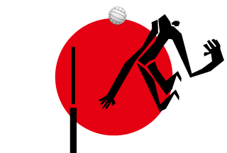 日本国旗とバレーボール男