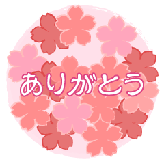 桜花びらのありがとう