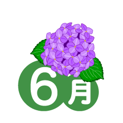 紫陽花の6月